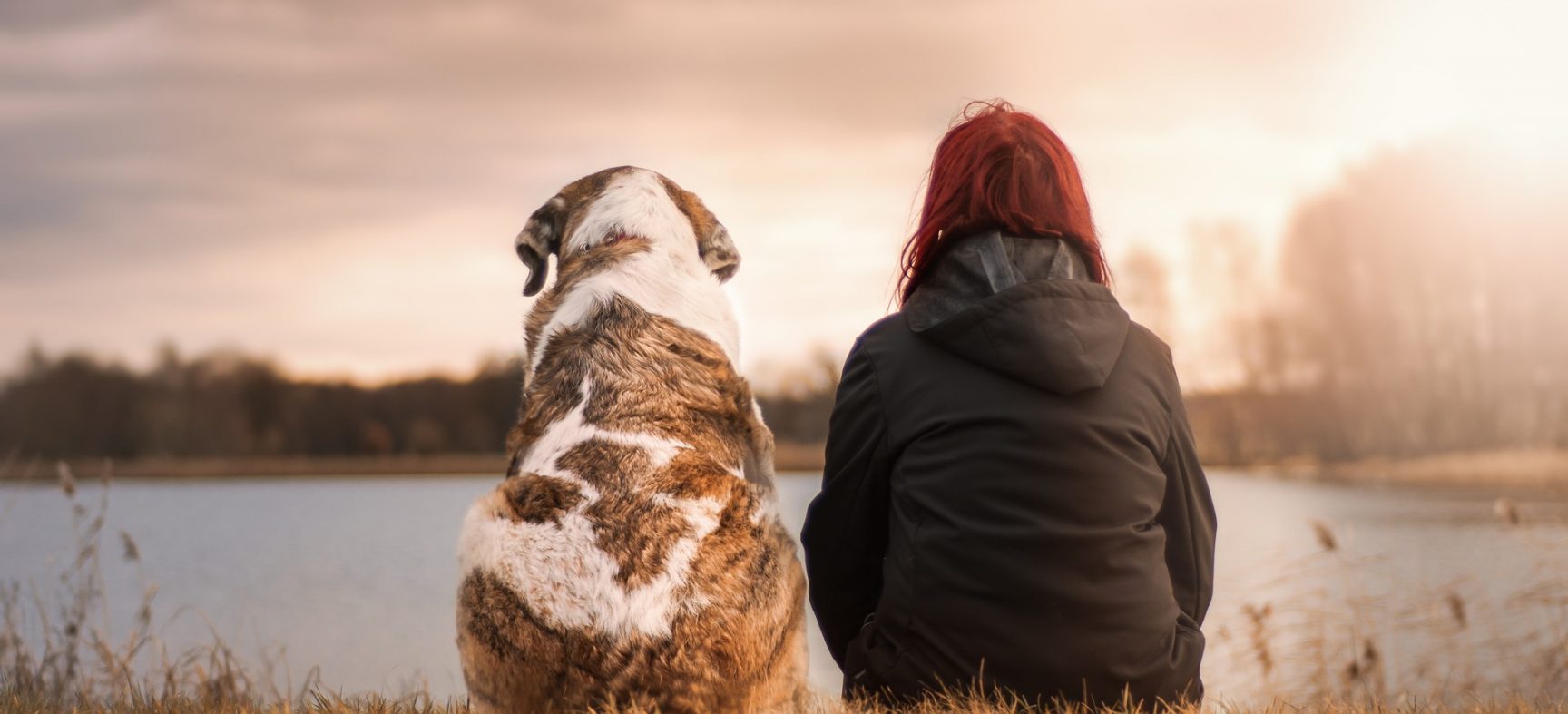 Sharing Your Life With a Pet